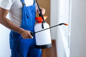 Best Residential Pest Control  in Roselle Park, NJ